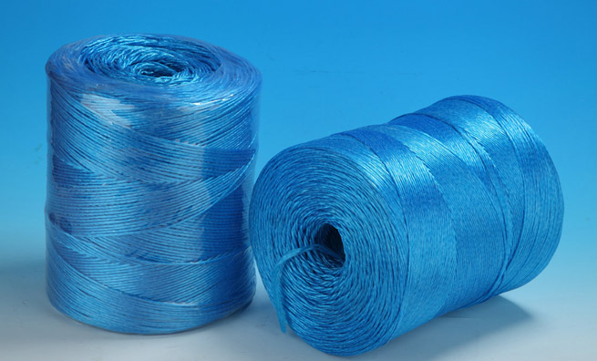 Rotoplastics Poly Twine 3353ft • Samaroo's Materials & General LTD